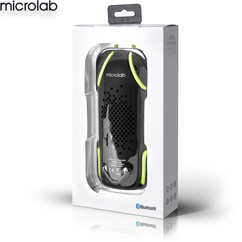 Loa Microlab D22 9